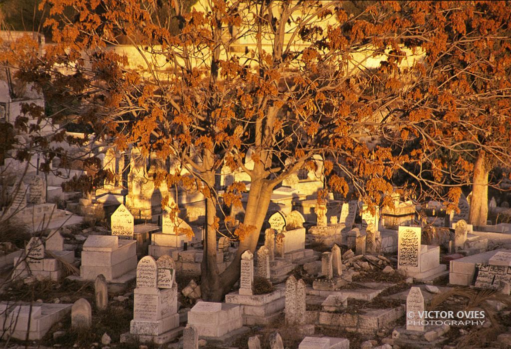 Jerusalem - Muslim Cemetery